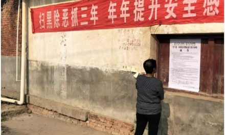 治理體系中的能動者結(jié)構(gòu)：縣域的視角